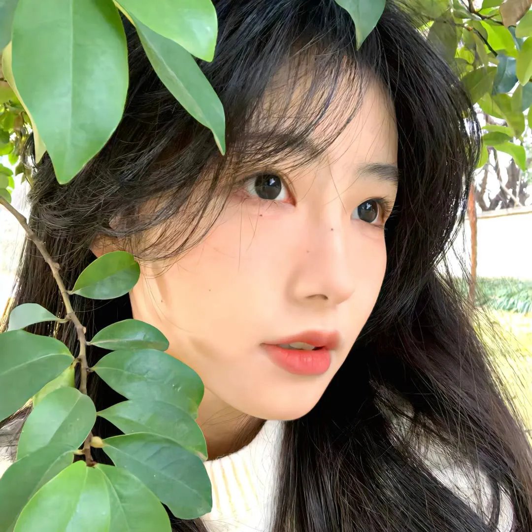 歌舞飞扬
